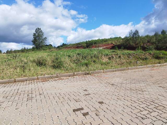 #17 - Terreno para Venda em Parobé - RS - 1