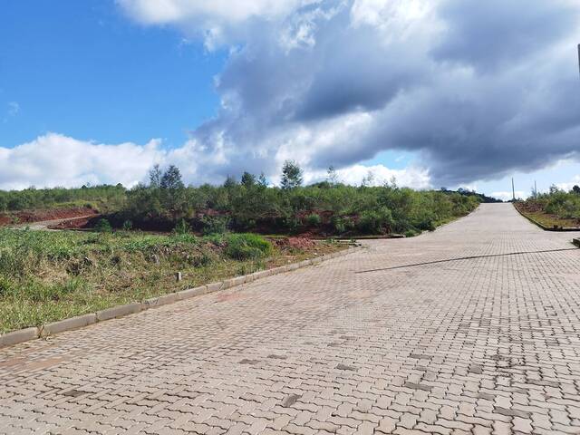 #17 - Terreno para Venda em Parobé - RS - 2