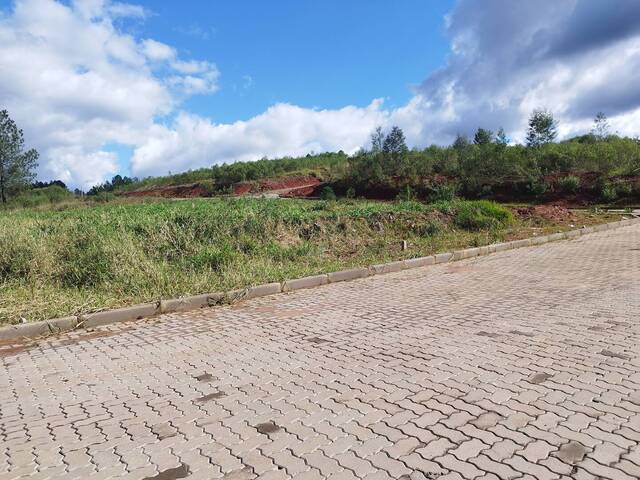 #17 - Terreno para Venda em Parobé - RS - 3