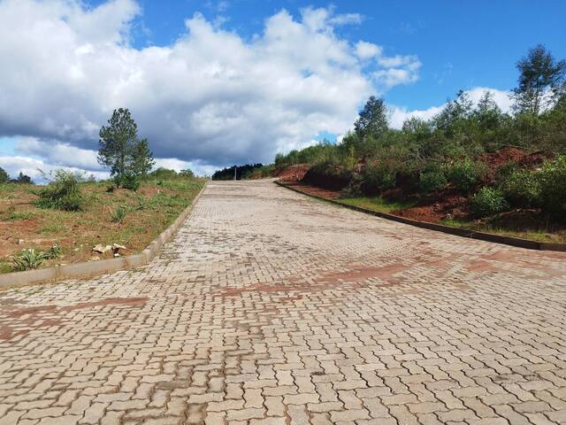 Terreno para Venda em Parobé - 5