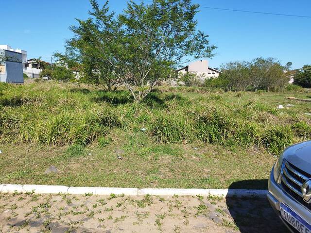 Terreno para Venda em Parobé - 4