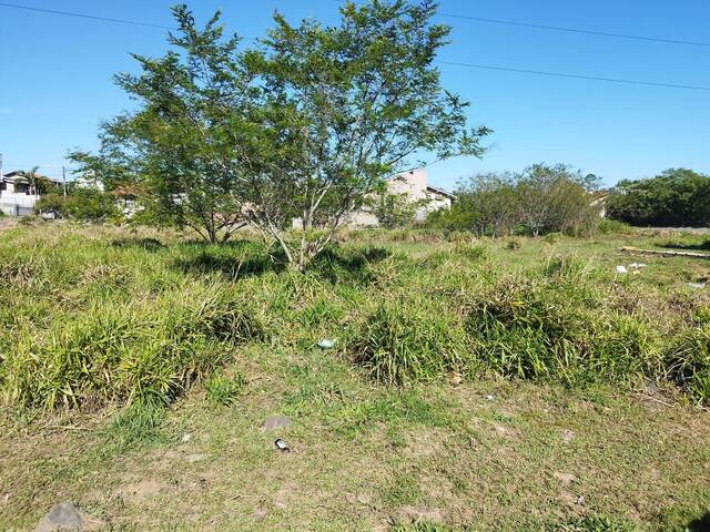 #19 - Terreno para Venda em Parobé - RS - 3