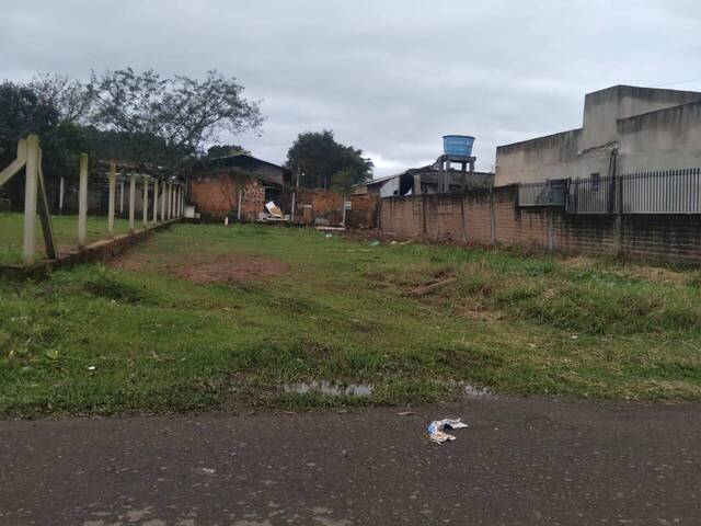 #24 - Terreno para Venda em Parobé - RS - 1