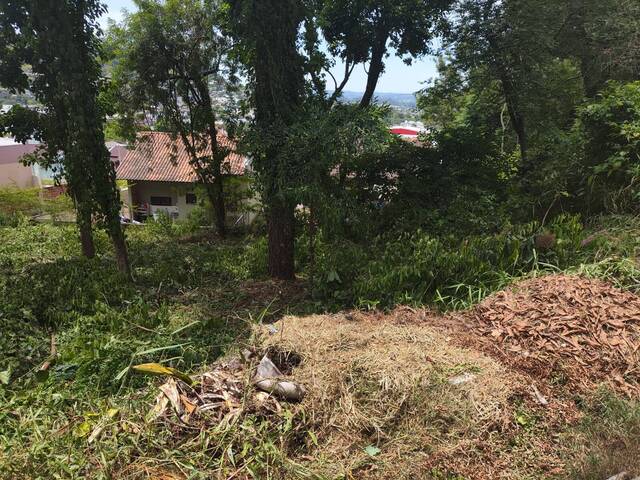 #29 - Terreno para Venda em Parobé - RS - 3