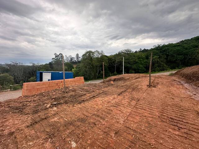 Terreno para Venda em Parobé - 4
