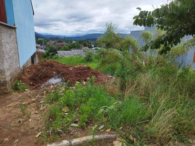 #58 - Área para Venda em Parobé - RS - 3