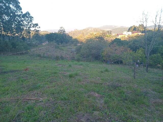 Venda em Centro - Parobé