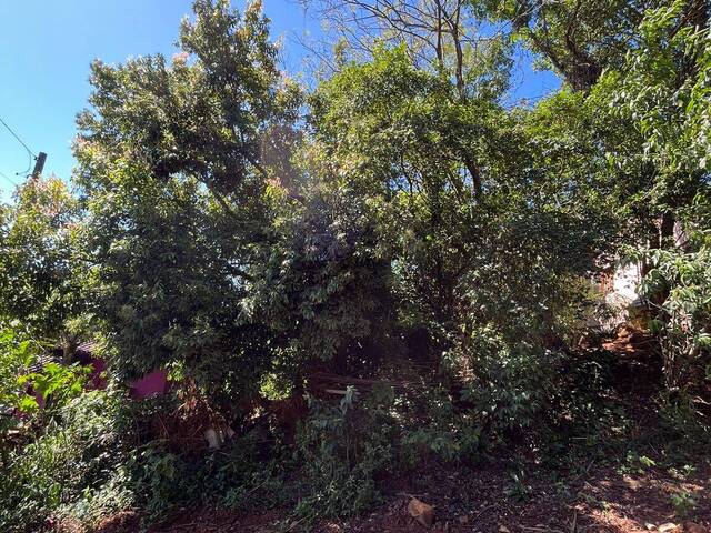 Venda em IDEAL - Parobé