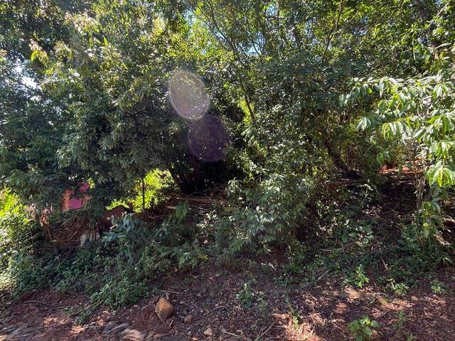 #123 - Área para Venda em Parobé - RS - 2